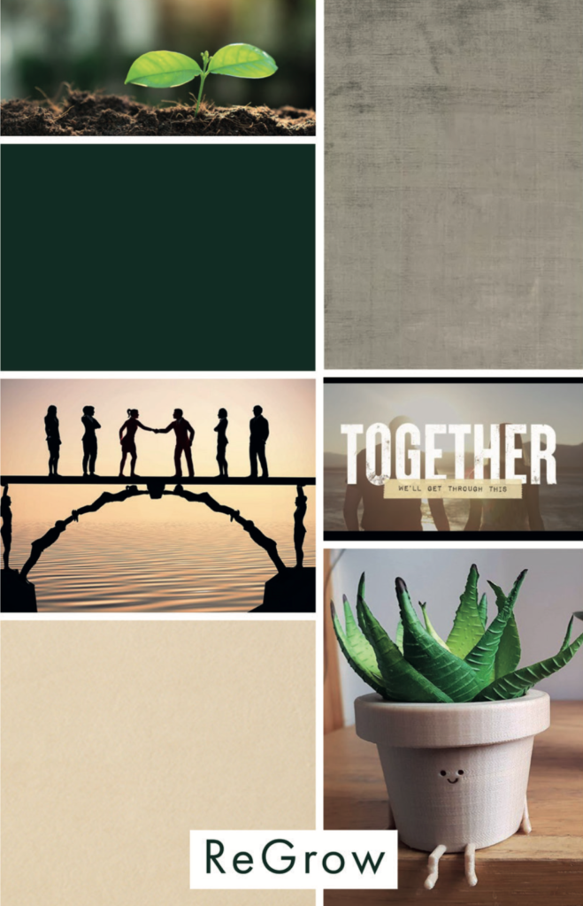 moodboard_regrow
